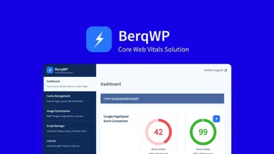 BerqWP - LTD Dashboard Overview - Create Wordpress Plugins
