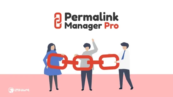 Permalink Manager Pro - LTD Dashboard Overview - Lead Generation Wordpress Plugins